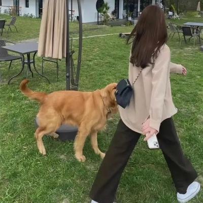 我会存活下来